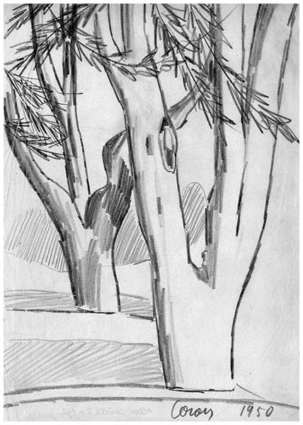 Alberi, 2, matita su carta, 1950, collezione privata